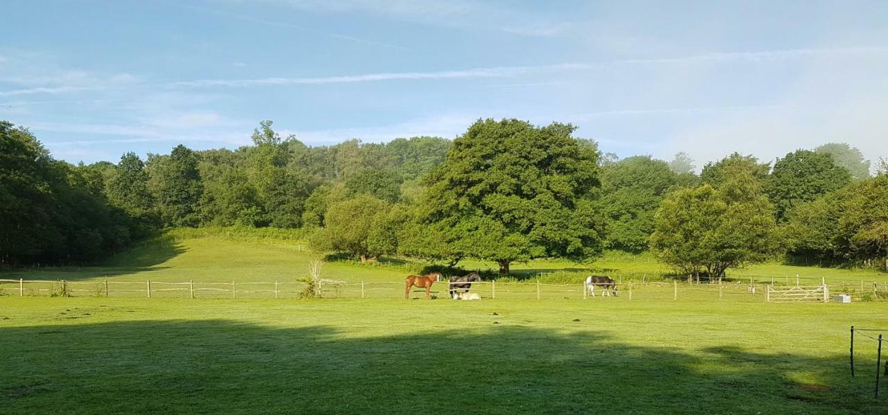 Stable Cottage Dorking Esterno foto